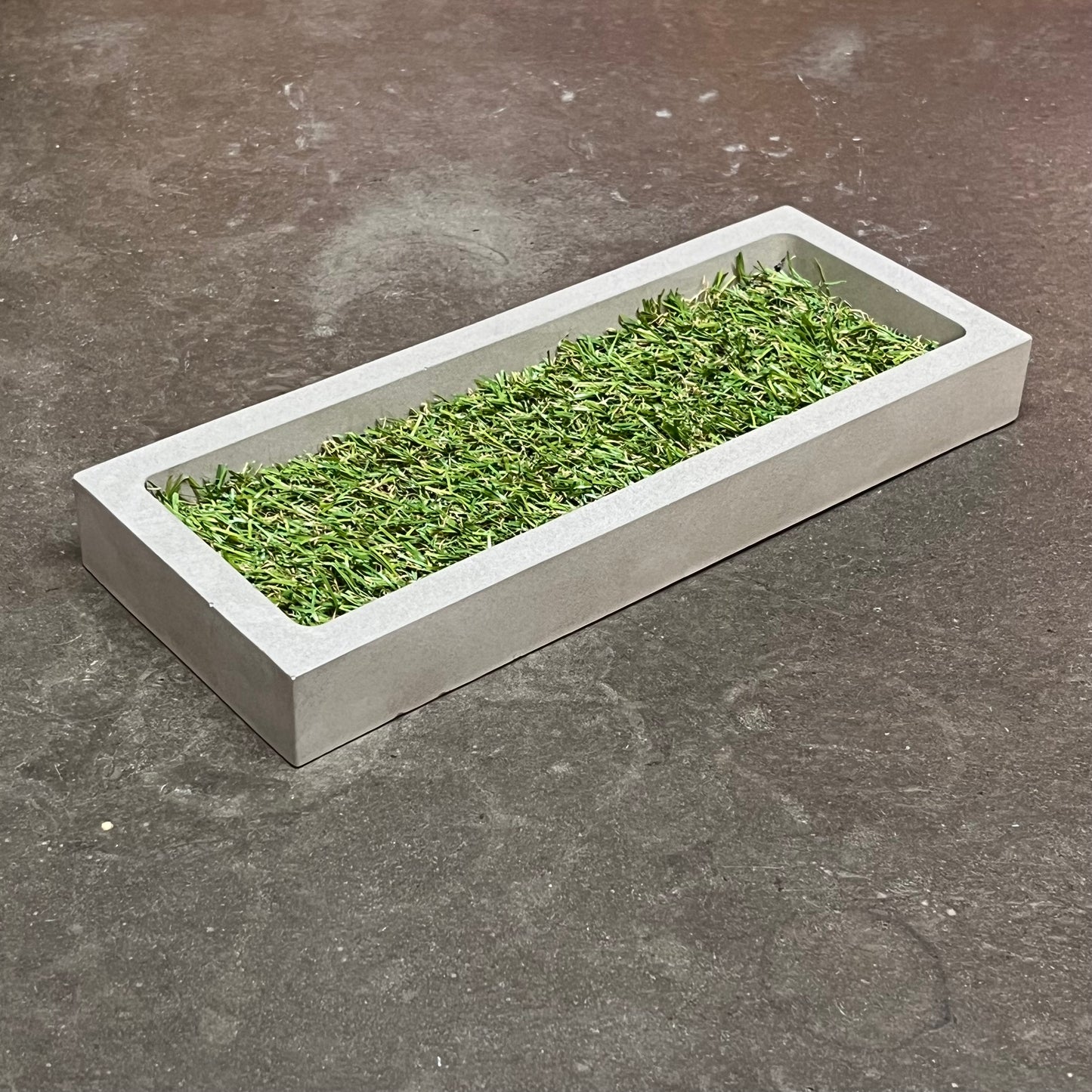 Planter