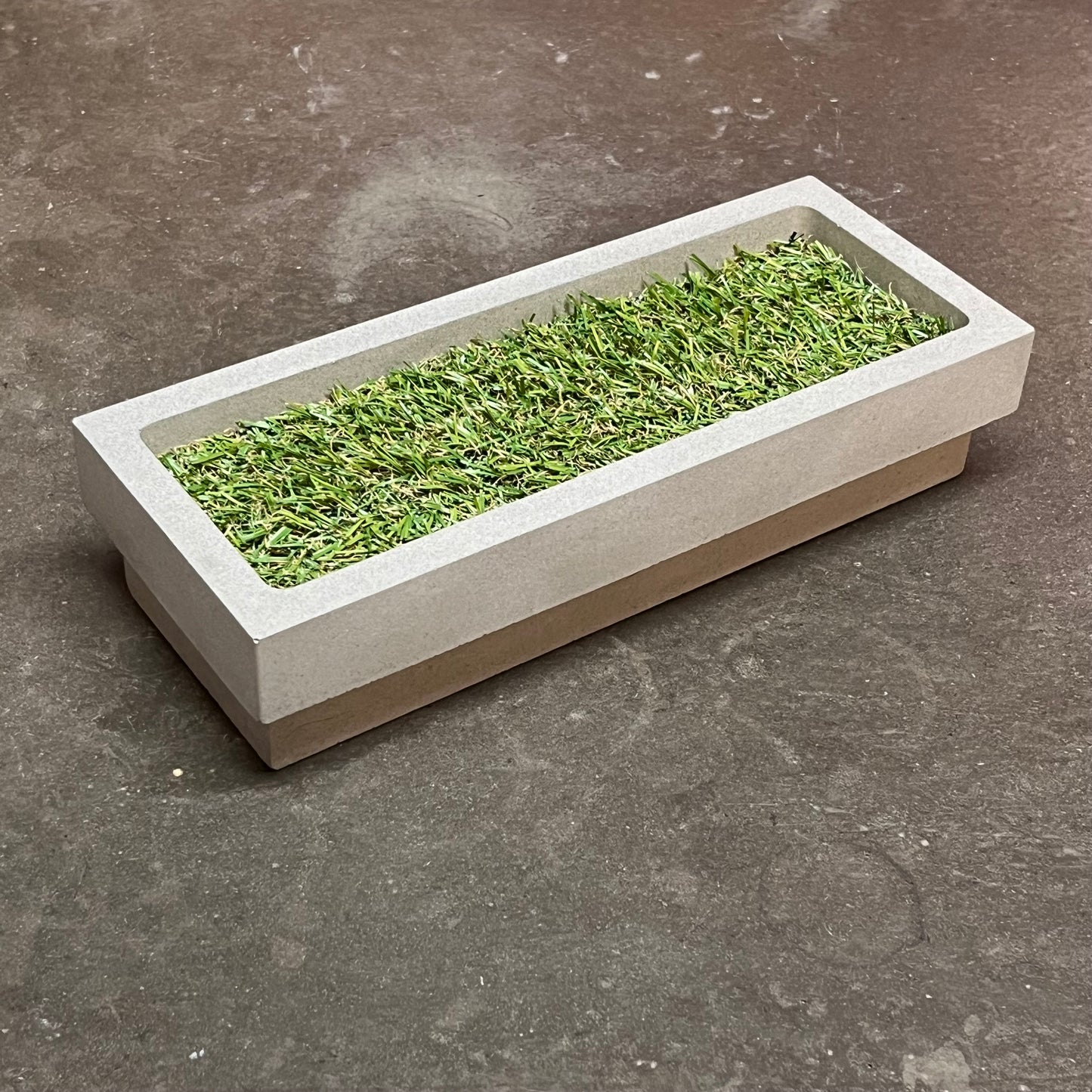 Planter