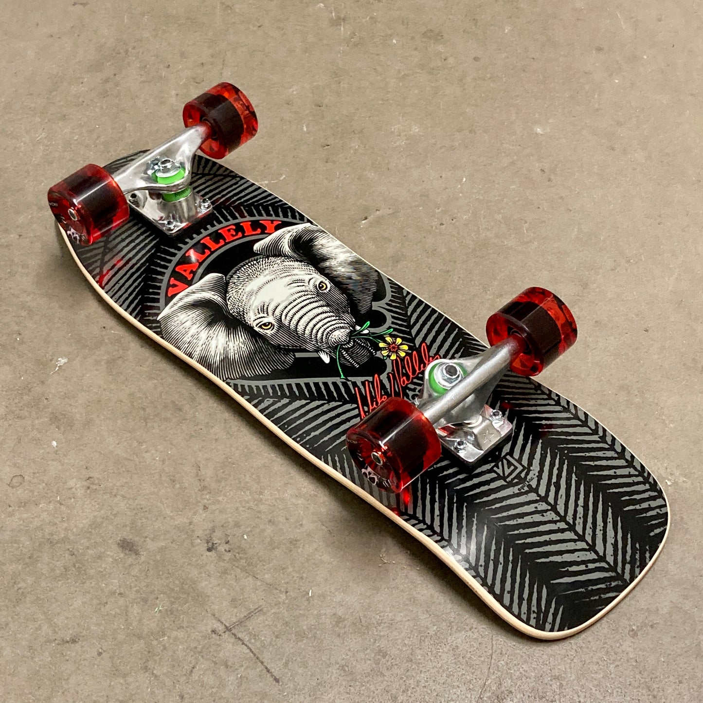 Cruiser Skateboard