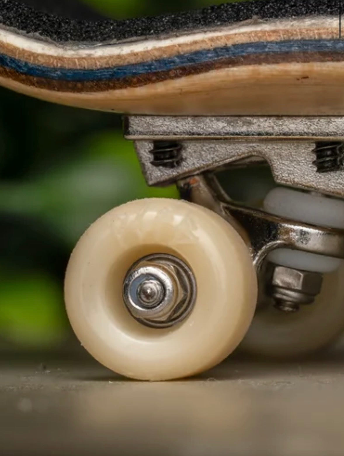 DudeGuy (DGFB) Wheels