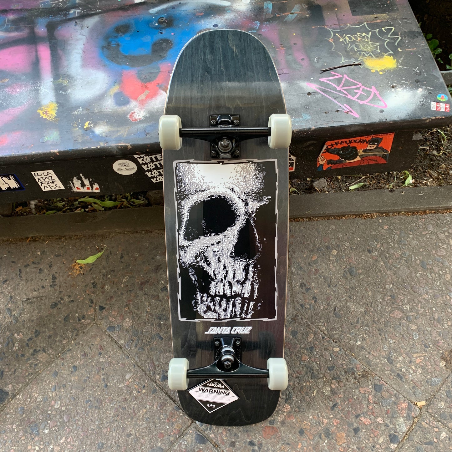 Cruiser Skateboard