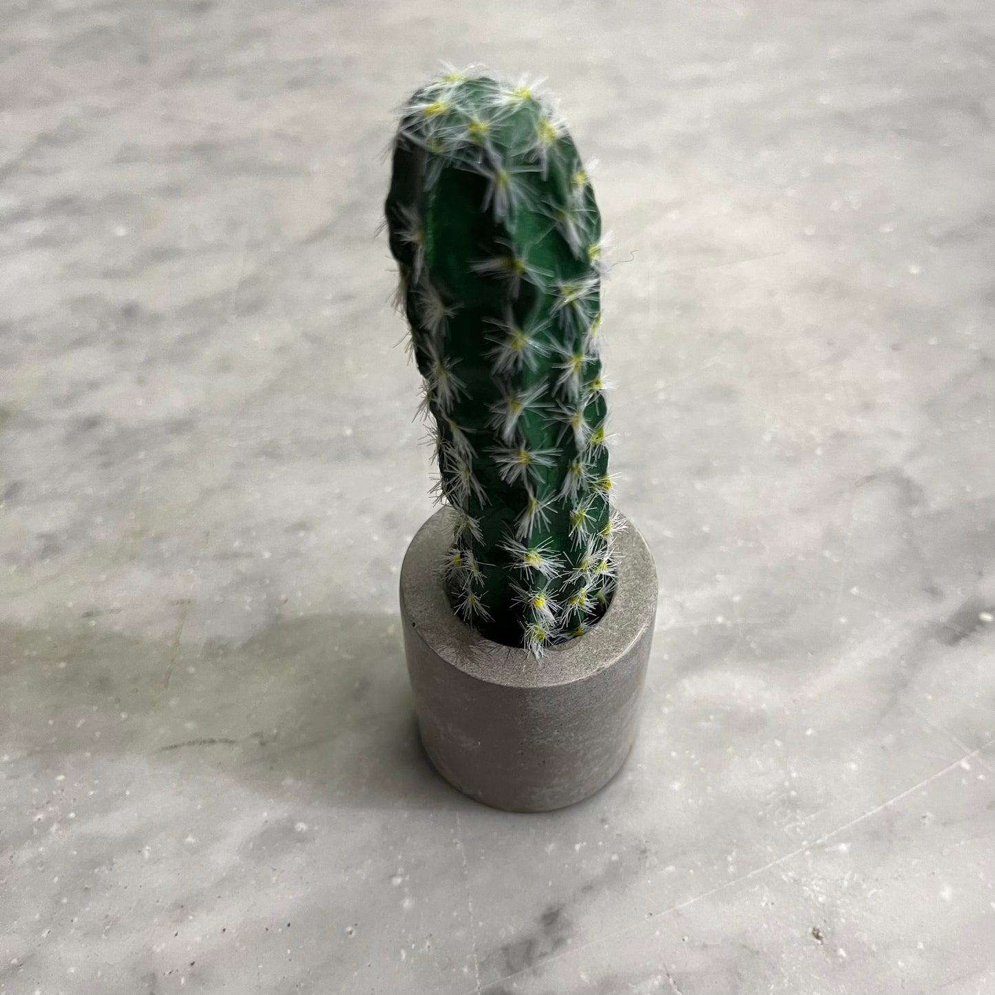 Cactus Planter