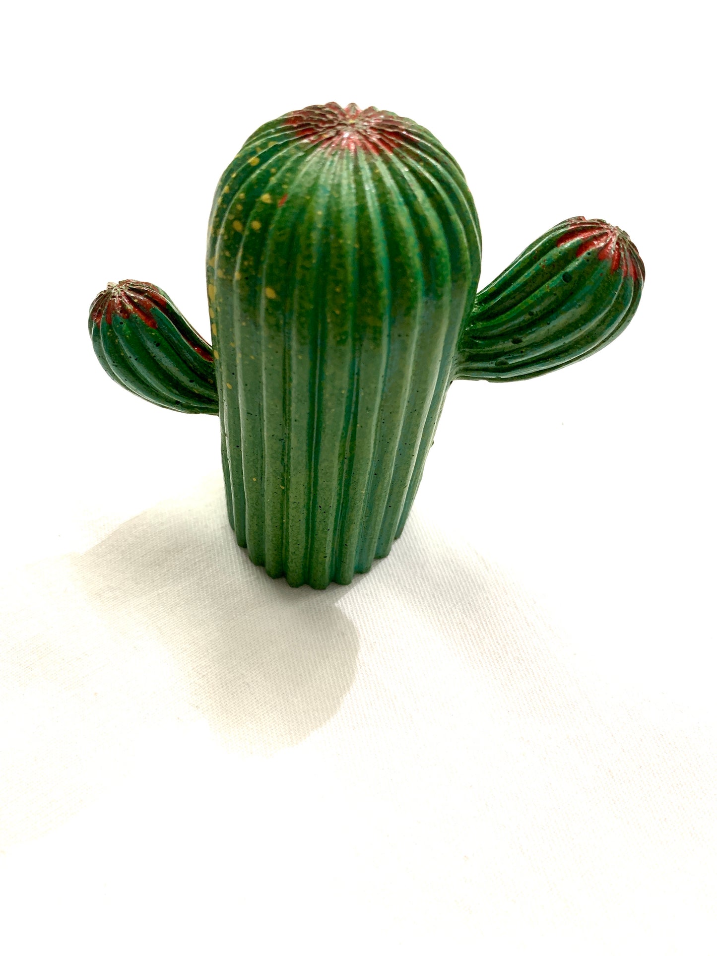 ASIBRIXX Cactus